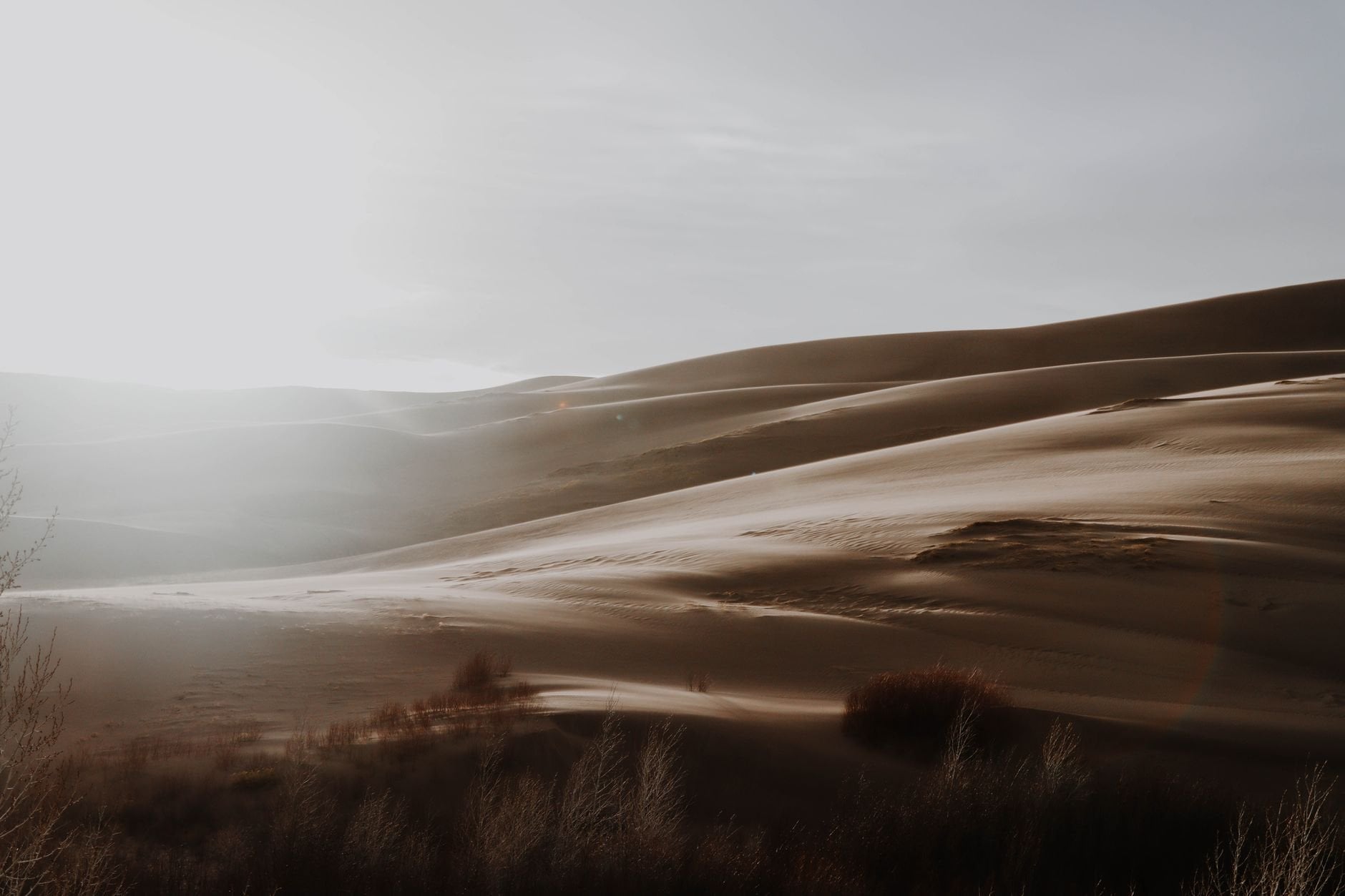 Beautiful desert dunes bathed in warm sunset light, highlighting soft sand patterns and serene landscape